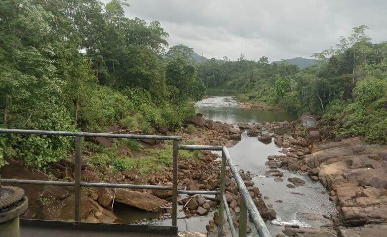 Neluwa